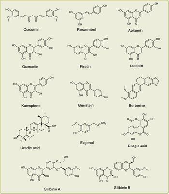 Natural Products for the Management of Castration-Resistant Prostate Cancer: Special Focus on Nanoparticles Based Studies